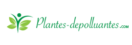 Logo plantes-depolluantes.com